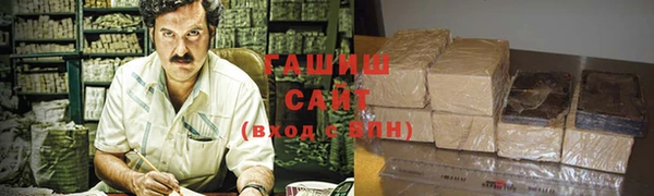 дмт Бородино