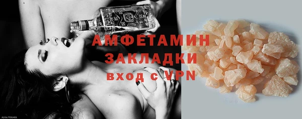 дмт Бородино