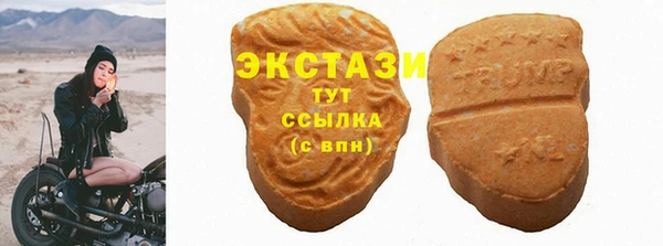 дмт Бородино