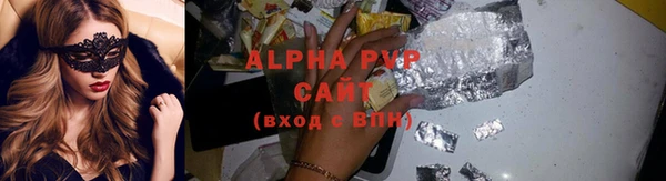дмт Бородино