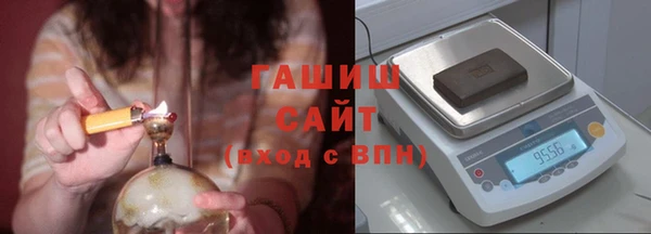 дмт Бородино