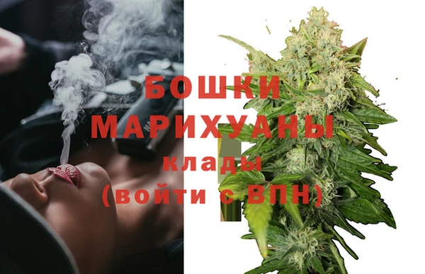 дмт Бородино