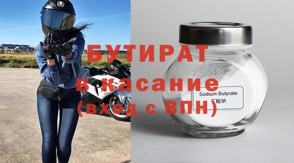 дмт Бородино