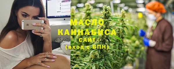 дмт Бородино