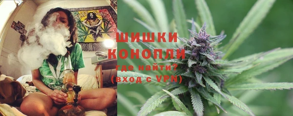 дмт Бородино