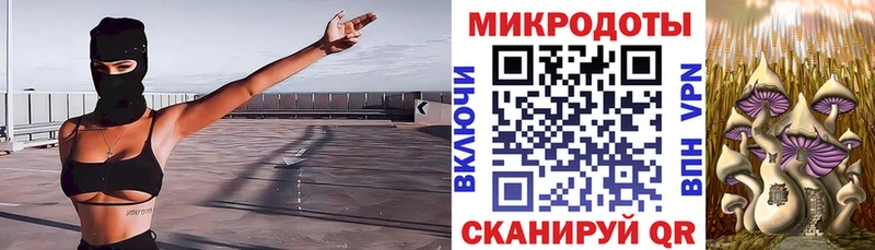 закладки  Новотроицк  Галлюциногенные грибы мицелий 