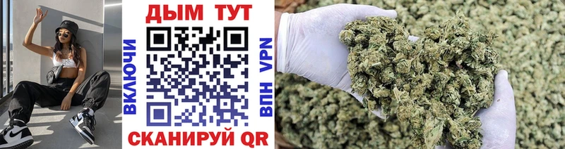 купить наркотики сайты  Новотроицк  darknet наркотические препараты  Марихуана конопля 